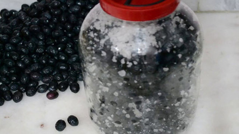 Zeytinleriniz küfleniyorsa mutlaka bunu yapın! 1 kaşık eklemeniz yeterli - Resim: 1