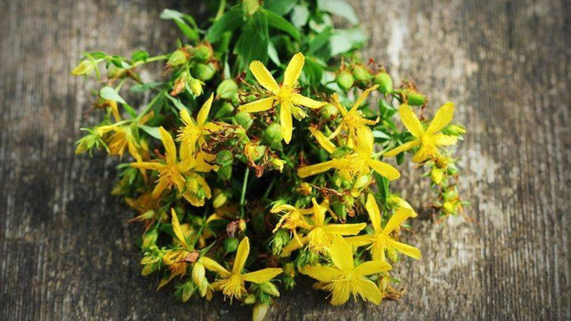 Bir bardak değil sadece 2 damlası bile yetiyor! Faydalarını tükettikçe göreceksiniz - Resim: 2