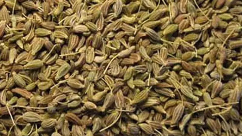 1 çay kaşığını geçmeyecek kadar yemeniz yeterli; Sadece hafif sedatif etkileri yokmuş - Resim: 4