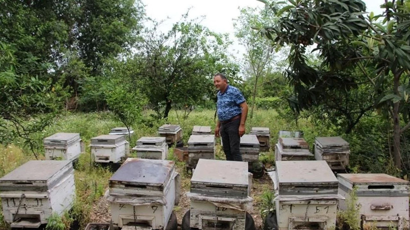 Bal üreticisi atletle arılarına bakım yapıyor - Resim: 2