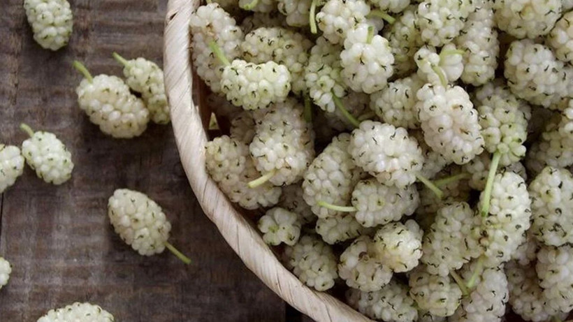Marmara, Ege ve Akdeniz'de bol bol yetişiyor! Hem kemikleri hem de bağışıklığı güçlendiriyor - Resim: 4