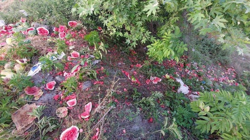 Samsun'da yol kenarına yüzlerce karpuz atıldı - Resim: 2