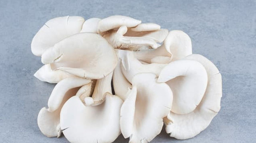 Ne et ne de tavuk sofraların vazgeçilmezi oldu! Adeta protein deposu - Resim: 2