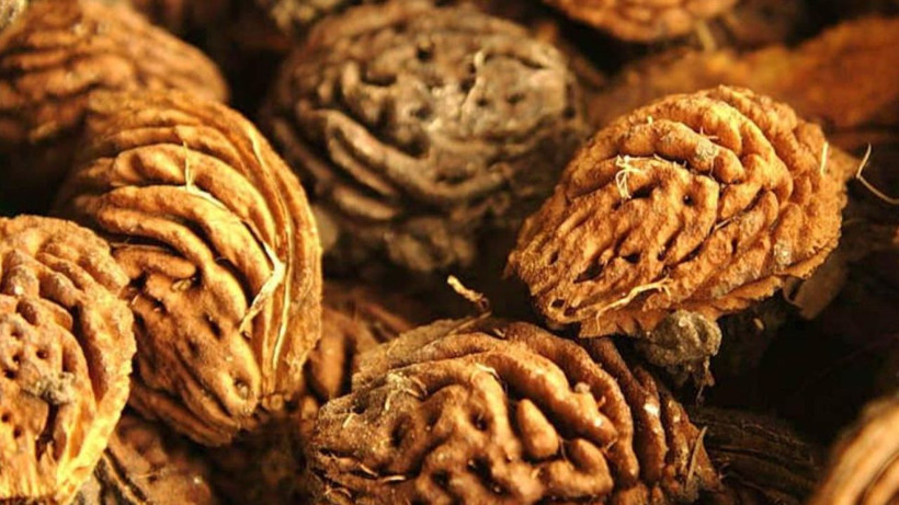 Hiç yılmadan kaynatıp bardak bardak için; Kalp damar sağlığınız için bunu yapın - Resim: 1