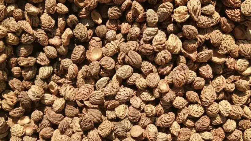 Hiç yılmadan kaynatıp bardak bardak için; Kalp damar sağlığınız için bunu yapın - Resim: 3