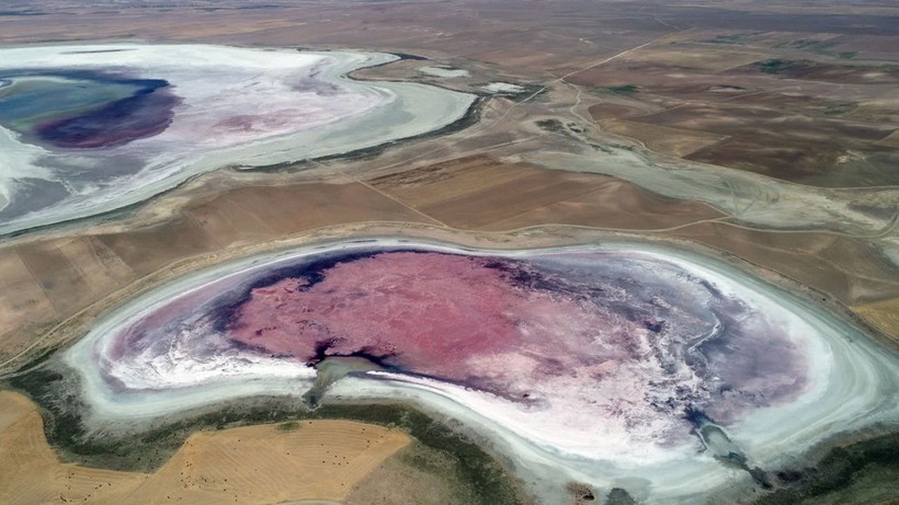 Konya'da flamingo cenneti olan göl kurudu - Resim: 3