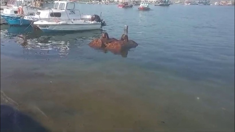 Denizde bulunan demir parçasının içinden patlayıcı çıktı - Resim: 2