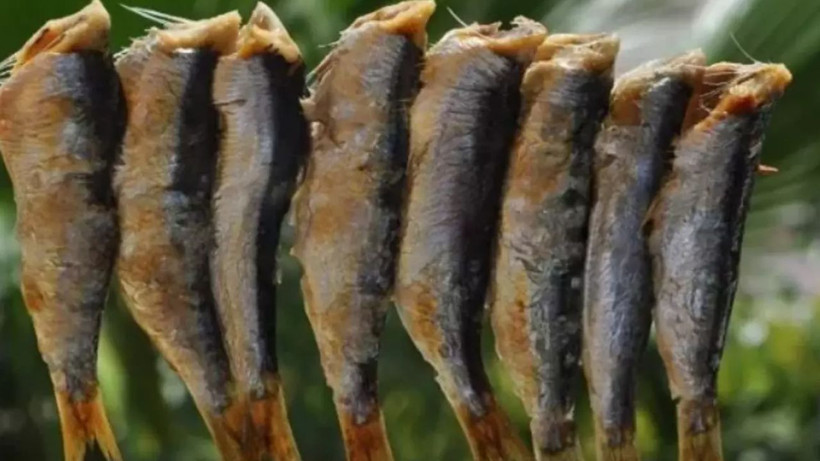 Eylül ayında bu balıktan başka balık yenmez! Bol bol tüketmenizde fayda var - Resim: 2