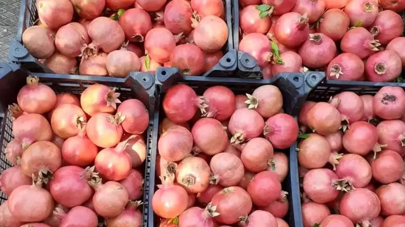 Günde 1 tane yiyen hastane yolunu unutuyor! Ölümden başka her derde deva - Resim: 4