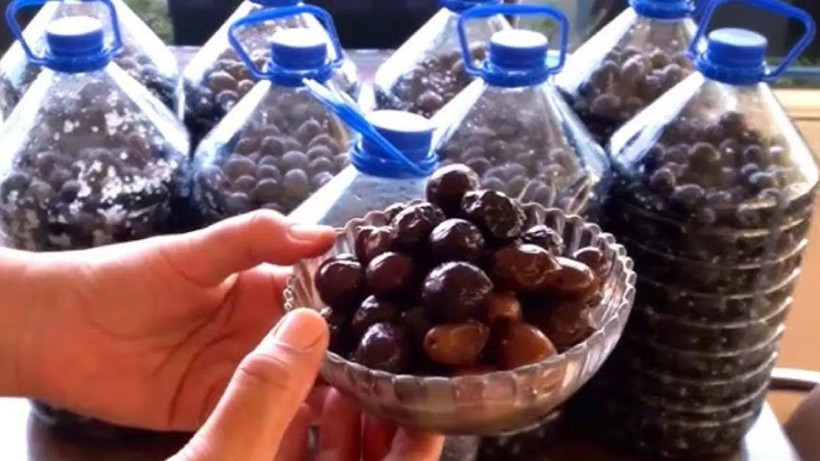 Tam 42 yıllık çalışan bunu ilk kez açıkladı: Zeytinleriniz böyle olmasın - Resim: 1