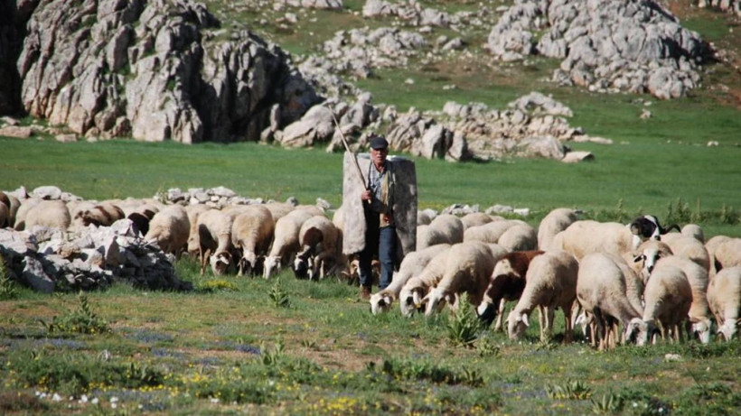 Antalyalı yörükler yayladan dönüşe geçti - Resim: 2