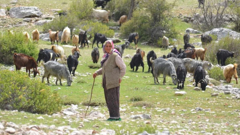 Antalyalı yörükler yayladan dönüşe geçti - Resim: 3