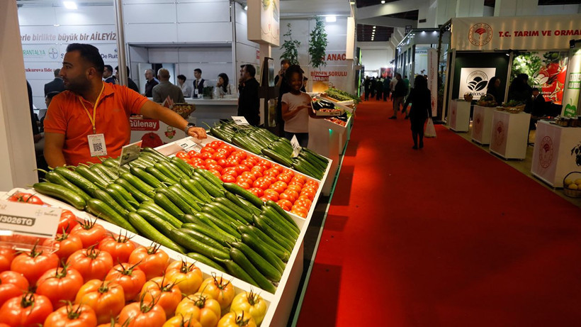 Akdeniz'de yetiştirilip, Karadeniz'e bırakılan 20 bin mersin balığı çiple izleniyor - Resim: 1