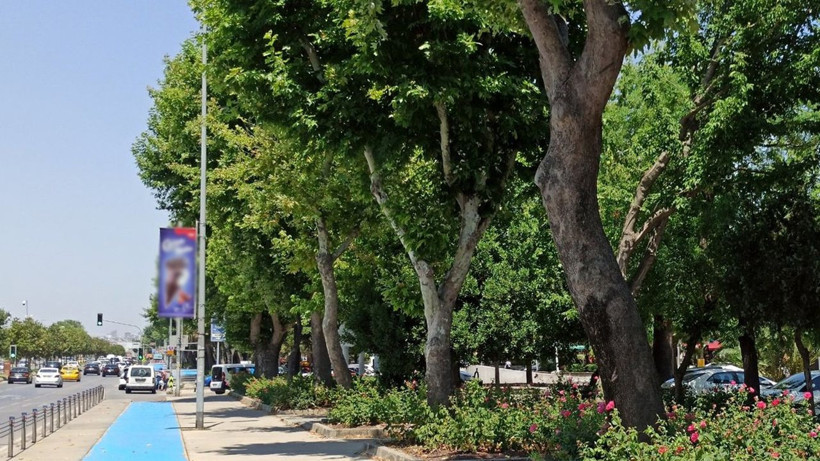 İstanbul'da yaşayan herkes oraya akın ediyor; Ne Kadıköy ne Üsküdar! - Resim: 4