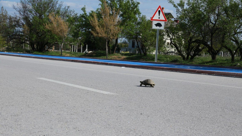 Trafiğe çıkanlar bu levhaya dikkat edin! Belki de çoğu sürücü bilmiyor - Resim: 1
