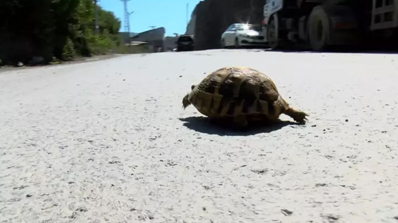 Trafiğe çıkanlar bu levhaya dikkat edin! Belki de çoğu sürücü bilmiyor - Resim: 2