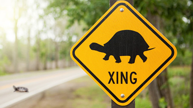 Trafiğe çıkanlar bu levhaya dikkat edin! Belki de çoğu sürücü bilmiyor - Resim: 3