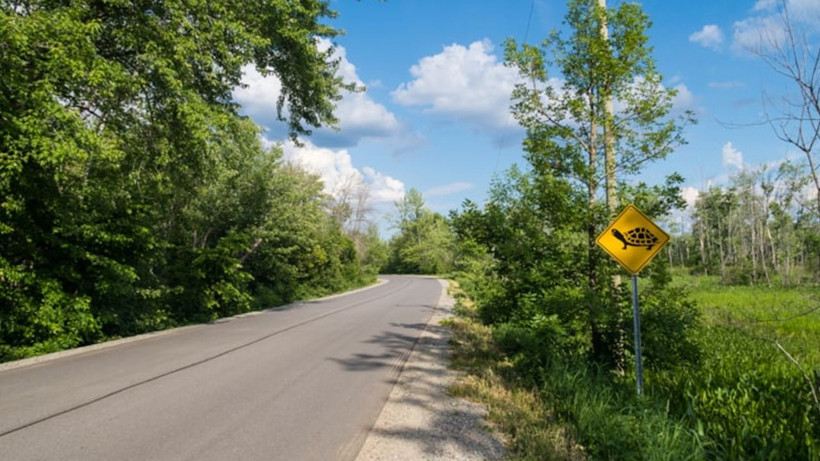 Trafiğe çıkanlar bu levhaya dikkat edin! Belki de çoğu sürücü bilmiyor - Resim: 4