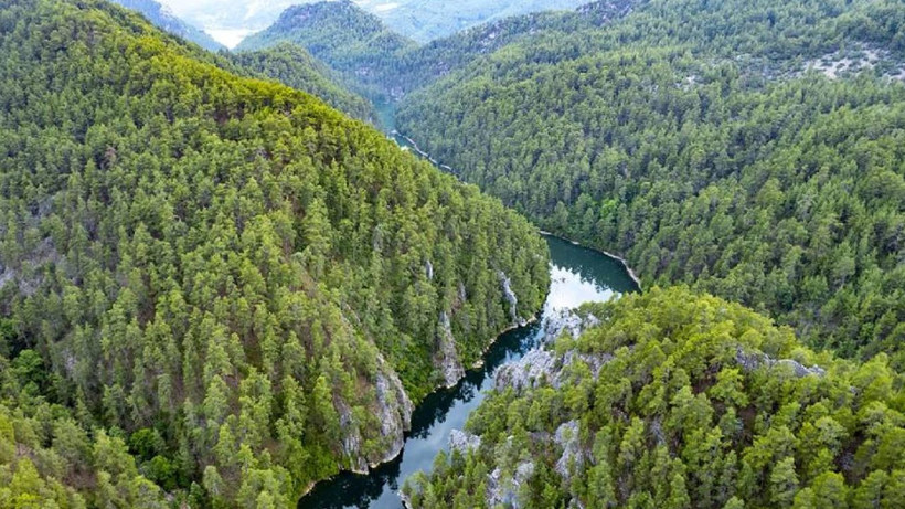 Türkiye’de sadece o iki ilde bulunuyor! Özel izin almadan girmek imkansız - Resim: 2