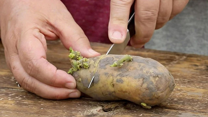 Patates filizlenmesini bu yöntemle önleyin, aylarca taş gibi kalıyormuş - Resim: 3