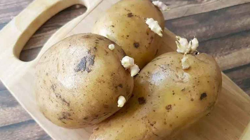 Patates filizlenmesini bu yöntemle önleyin, aylarca taş gibi kalıyormuş - Resim: 4