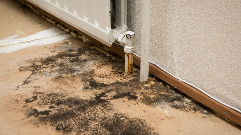 Evdeki nem ve küfü bu yolla yok edin, bu kadar pratik olduğunu kimse bilmiyor - Resim: 1