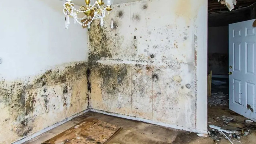 Evdeki nem ve küfü bu yolla yok edin, bu kadar pratik olduğunu kimse bilmiyor - Resim: 2