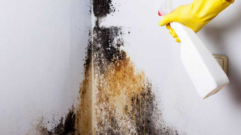 Evdeki nem ve küfü bu yolla yok edin, bu kadar pratik olduğunu kimse bilmiyor - Resim: 4