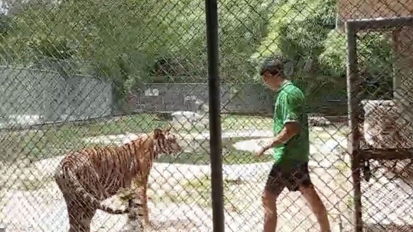 Tayland'da turist çekmek için hayatlarını tehlikeye atıyorlar - Resim: 2