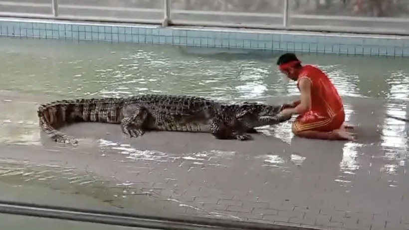 Tayland'da turist çekmek için hayatlarını tehlikeye atıyorlar - Resim: 1