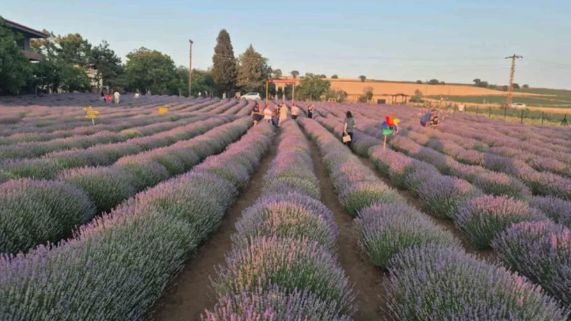 İstanbul'un dibindeki kartpostal: Gelin-damatlar buraya koşuyor... - Resim: 1