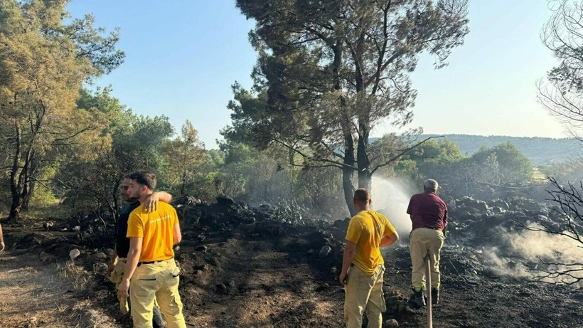 Mangal yaparken ormanı yakmış! - Resim: 2