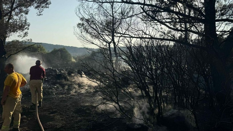 Mangal yaparken ormanı yakmış! - Resim: 1