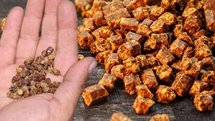 Kilosu şu anda 3 bin TL’den satılıyor; Tam bir şifa deposu - Resim: 1