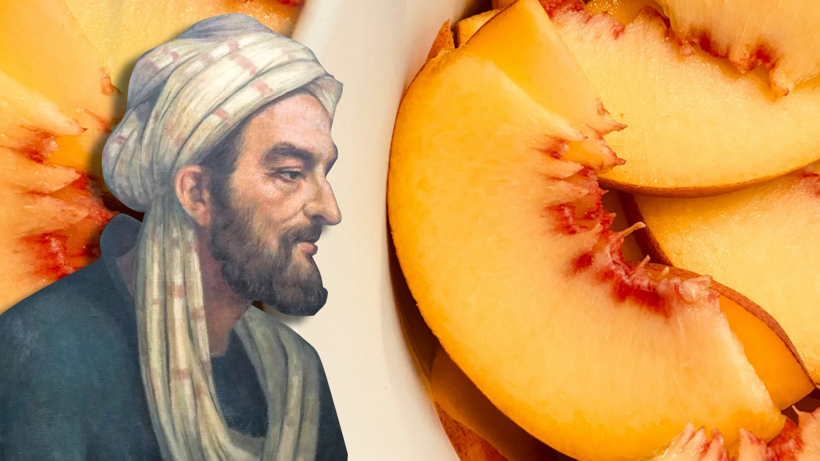 1000 yıllık sır: İbn-i Sina’nın şifa formülü ortaya çıktı! - Resim: 1