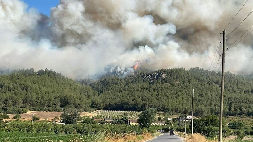 Sakarya'daki yangın hızla büyüdü - Resim: 2