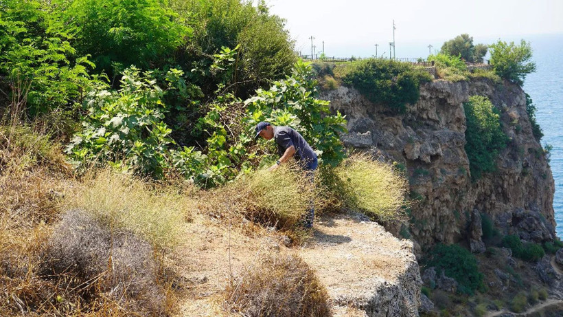 Antalya'da 'falezlerin gelini' de yangından etkilendi - Resim: 1