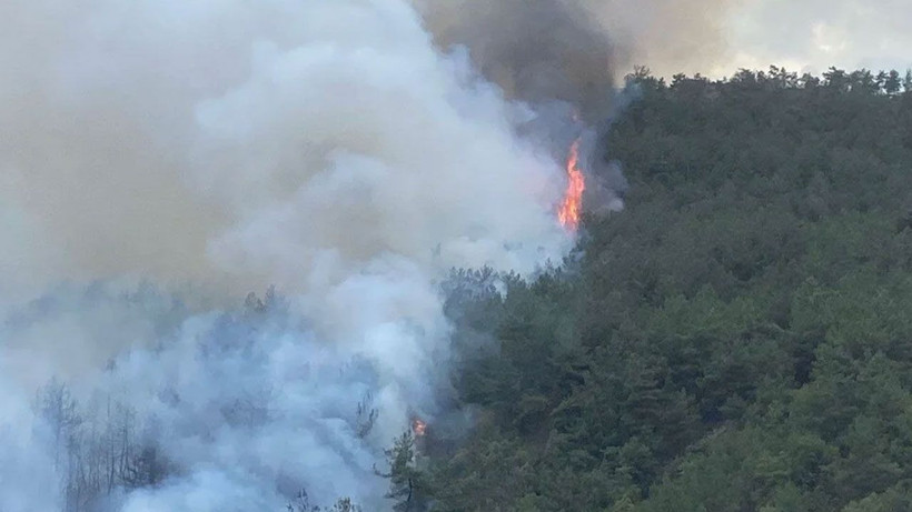 Karabük'te orman yangını! Bir köy tedbir amacıyla boşaltıldı - Resim: 1