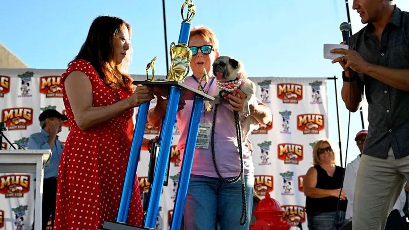 Dünyanın en çirkin köpeği: Sahibine 5 bin dolar kazandırdı - Resim: 3