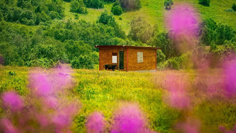 Doğa harikası Cimil Vadisi, ziyaretçilerine görsel şölen sunuyor - Resim: 4