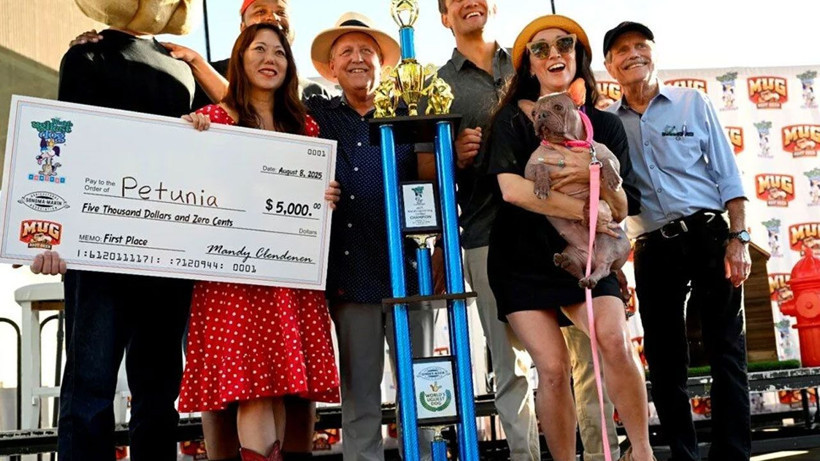 Dünyanın en çirkin köpeği: Sahibine 5 bin dolar kazandırdı - Resim: 4