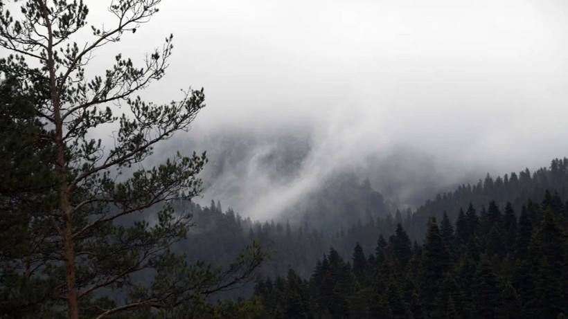 Ilgaz Dağı beyaza büründü, ortaya kartpostallık görüntüler çıktı - Resim: 1