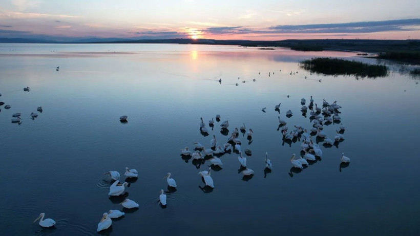 Manyas Gölü, sonbahar göçüne ev sahipliği yapıyor - Resim: 2