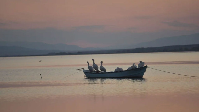Manyas Gölü, sonbahar göçüne ev sahipliği yapıyor - Resim: 4