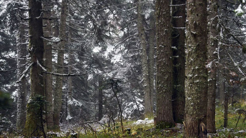 Ilgaz Dağı beyaza büründü, ortaya kartpostallık görüntüler çıktı - Resim: 4