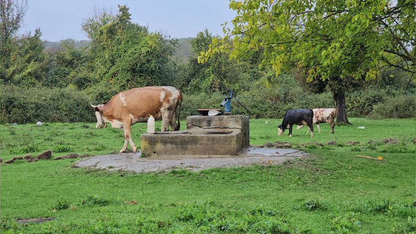Su kuyusunda kadın cesedi bulundu - Resim: 1