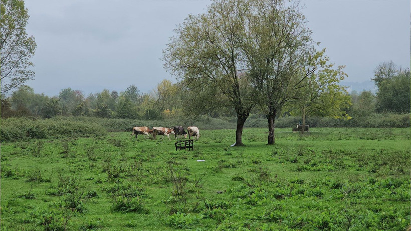 Su kuyusunda kadın cesedi bulundu - Resim: 4