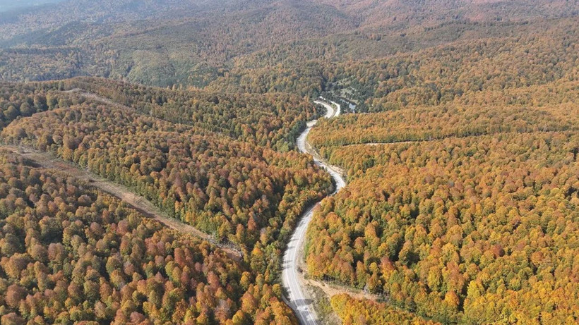 Kütahya Domaniç Dağları'nda sonbahar - Resim: 4