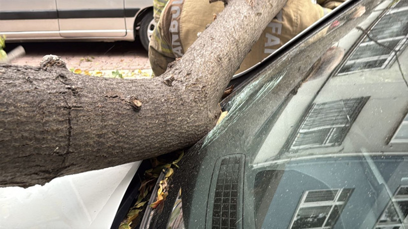 İstanbul’da şiddetli rüzgar etkili oldu: Ağaç ve elektrik direği araçların üstüne devrildi - Resim: 3
