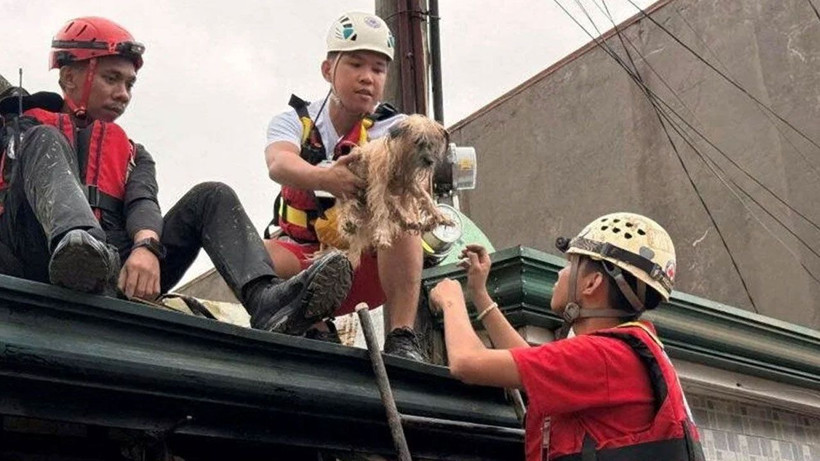 Filipinleri vuran Kalmaegi tayfunu 26 can aldı! Bir gecede sulara gömüldüler - Resim: 3